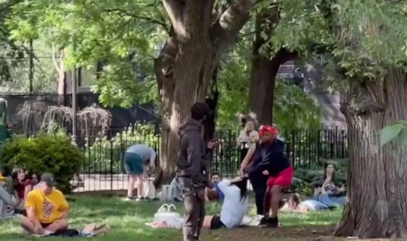 NYP: Афроамериканка устроила серию нападений в парке Нью-Йорка