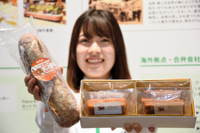 Бизнес на съедобных жуках в Японии идет на спад из-за роста цен и угасания моды