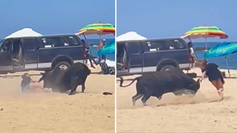 Fox News: разъяренный бык атаковал туристку на популярном пляже в Мексике