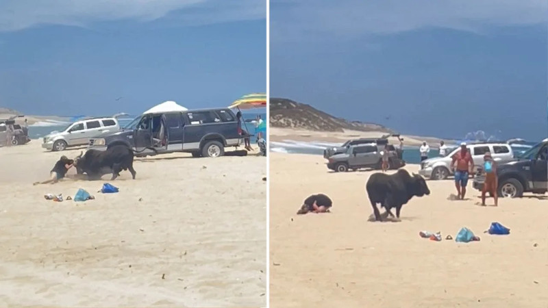 Fox News: разъяренный бык атаковал туристку на популярном пляже в Мексике